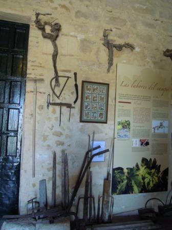 centro interpretación