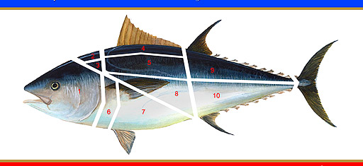 DESPIECE_DEL_ATUN_Herpac_P