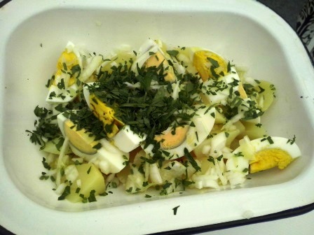 ???????????????????????????????