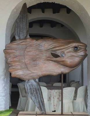 10363090_10203159924391582_4812686900422008770_n