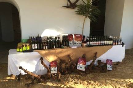 10458047_10203159923551561_4769465894845335808_n