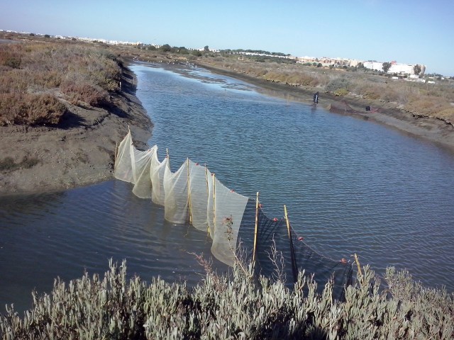 espesque Agustín 082