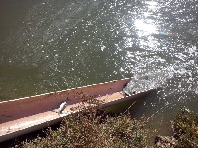 espesque Agustín 128