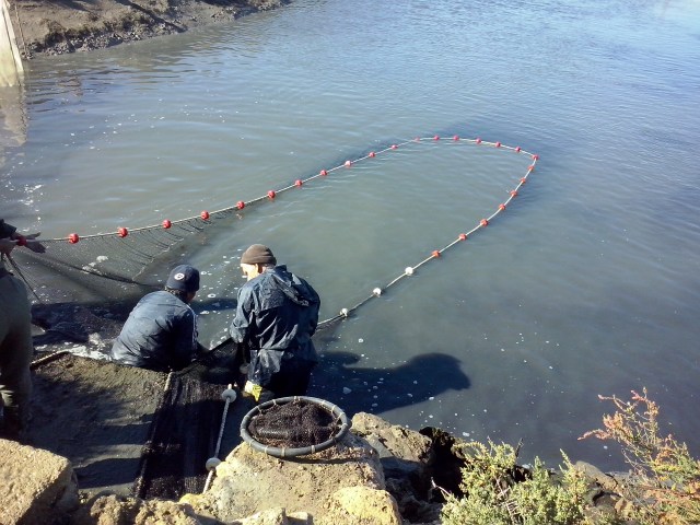 espesque Agustín 149