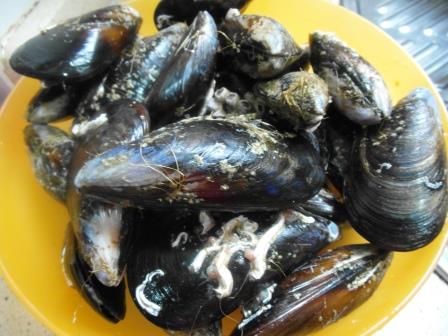 Mejillones con cáscara