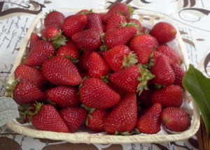 fresas (2)