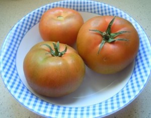 Tomates