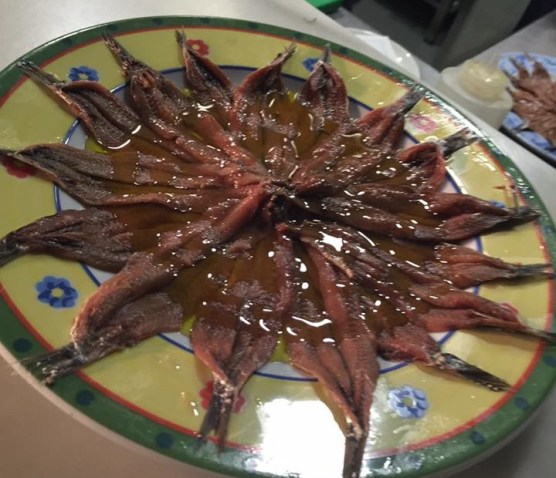 13495343_1173020566064035_5219382353628104945_n