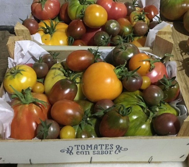 IMG-20170725-WA0002-1