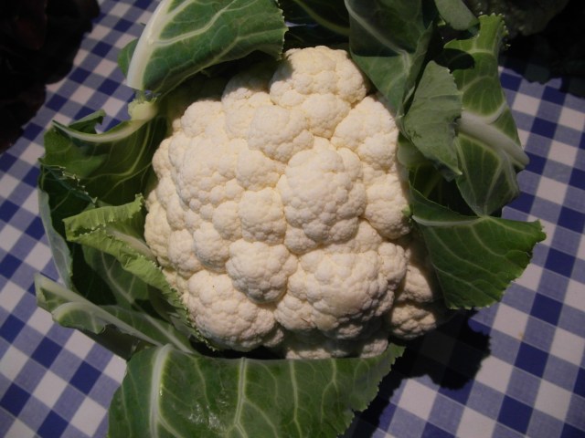 coliflor 2