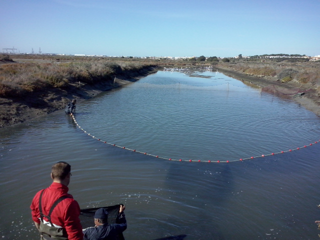 espesque-agustc3adn-141