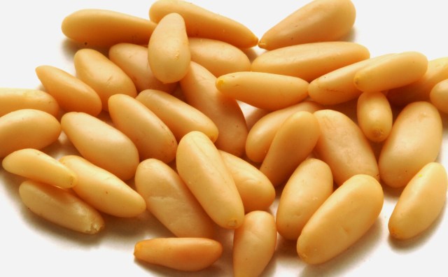 Pinion-Pine-Nut
