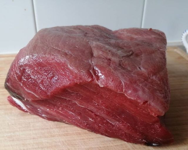 101446754_10215339073660254_5266200869258395648_o