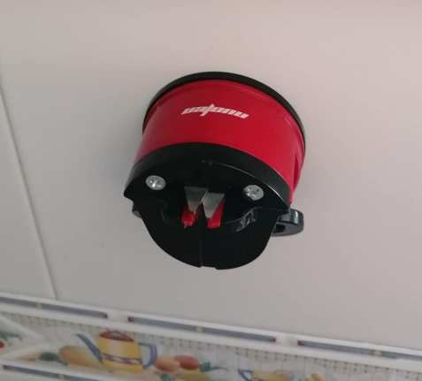 104323886_10215456907166018_1214139466493767148_n