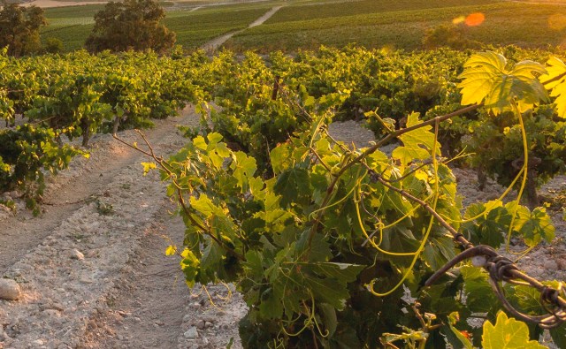 carrascal-corregidor2-1